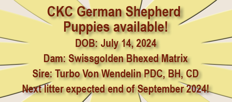 Puppies
