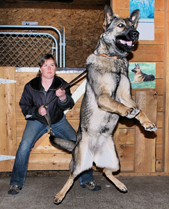 Josy during protection training with Don Evans